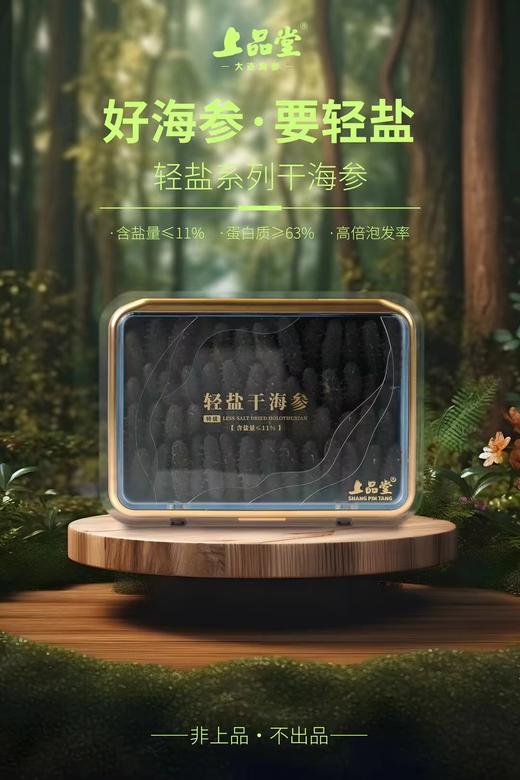 B1F 上品堂轻盐干海参       规格：500g/盒（81-100头） 商品图2