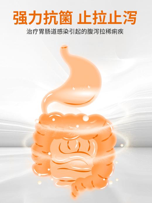 普安特宠物胃肠道炎症感染狗狗猫咪呕吐腹泻拉稀抗菌专用药硫酸新霉素片 商品图4