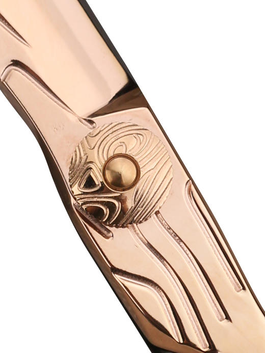 大雄ZEBRA斑马剪刀B200美发剪刀理发师专用综合剪刀6寸发廊专用 商品图3