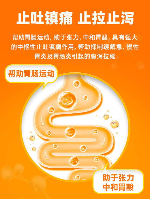普安特普西丁狗狗呕黄水呕吐宠物肠胃病吐黄水白沫调理肠胃 西咪替丁片1盒 商品图4