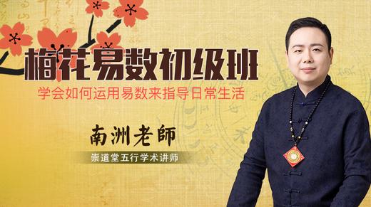 梅花易数初级 商品图0