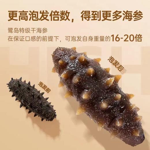 B1F 上品堂轻盐干海参       规格：500g/盒（81-100头） 商品图5