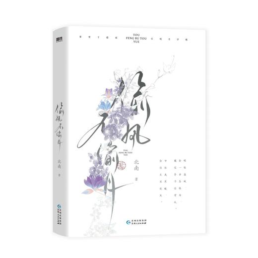 偷风不偷月北南著 商品图1