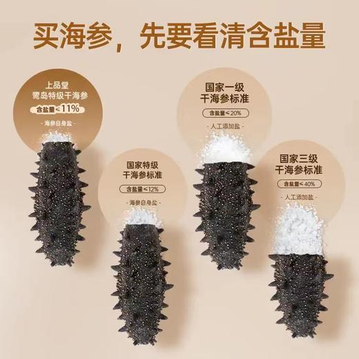 B1F 上品堂轻盐干海参       规格：500g/盒（81-100头） 商品图4