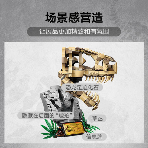乐高积木L76964乐高侏罗纪系列恐龙化石：霸王龙头骨 商品图3