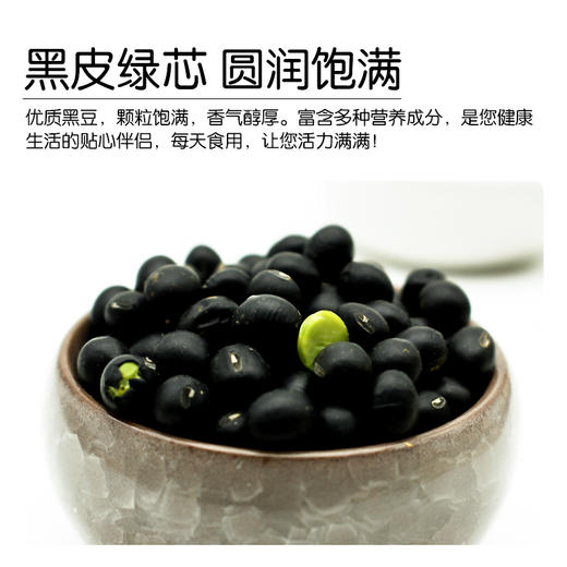 【有机黑豆】340g东北新豆农场新鲜青仁黑豆打豆浆专用豆浆豆丨340g 商品图2