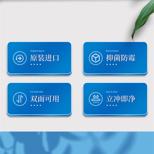 韩国 NATURNIC  PE家用分类防滑菜板整套 生熟分开/抑菌安全卫生 商品图3