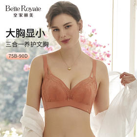 新款调整型文胸中厚款3/4杯型莫代尔内里记忆软圈收副乳女款内衣WJ2308-2