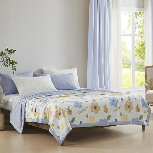 满百减十 | 阿思家被子系列 夏凉空调被/春秋大豆被 可机洗 柔软细腻 亲肤透气 商品图11