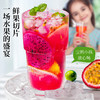草木方 火龙果金桔柠檬百香果230g*2  草木之间有良方 商品缩略图3