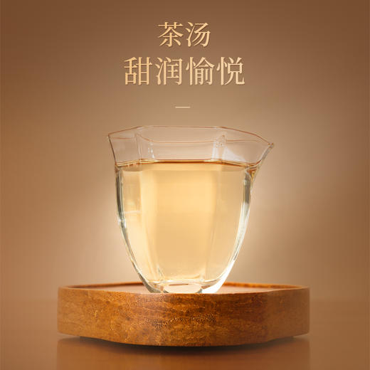 懂茶帝-福鼎白茶吴洋山2021年荒野大白（白牡丹）100g/砖 商品图2