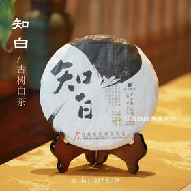 2024知白•古树白茶  云南白茶 石昆牧老师定制