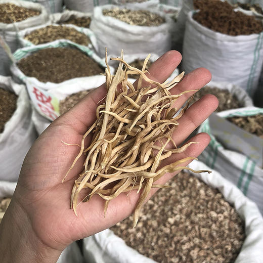 云南小百部  云南野生小百部 商品图4