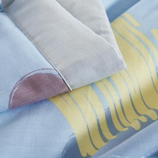 满百减十 | 阿思家被子系列 夏凉空调被/春秋大豆被 可机洗 柔软细腻 亲肤透气 商品图14