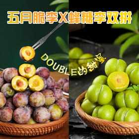 特价！蜂糖李x五月脆李双拼！Double的甜蜜蜜新鲜李子4.5斤装