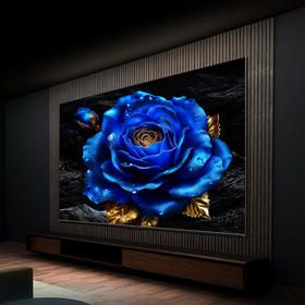 【下单前请与客服联系】TCL电视 75T8H 75英寸 百级分区 QLED量子点 超薄 2.1声道音响 120Hz 客厅液晶智能平板游戏电视机