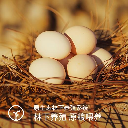 【远方检测SGS63项抗生素11项兽残3顶激素0检出原种泰和鸟鸡蛋】3至5天下一枚蛋 非杂交品种 个小富硒 30枚/盒 商品图1