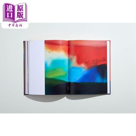 预售 【中商原版】Ptolemy Mann: Thread Painting 进口艺术 托勒密·曼恩：线织画 商品图4