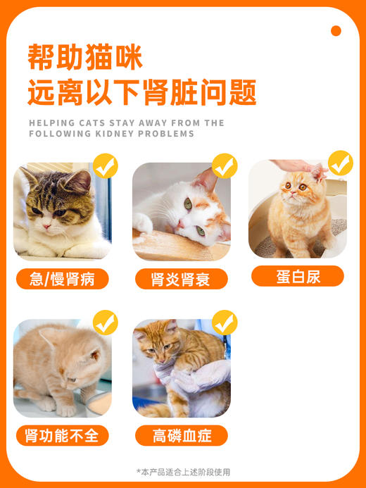 普安特 替米沙坦内服溶液猫咪专用慢性肾病肾衰肾损肾炎蛋白尿 替米沙坦内服溶液 30ml/瓶 商品图4
