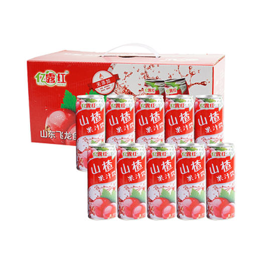 欢乐拍拍购---山东好品山楂果汁饮料 商品图0