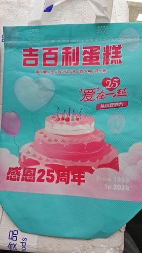 （手提袋）无纺布保温手提袋 小号 蓝