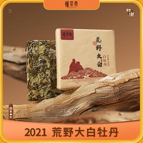 懂茶帝-福鼎白茶吴洋山2021年荒野大白（白牡丹）100g/砖