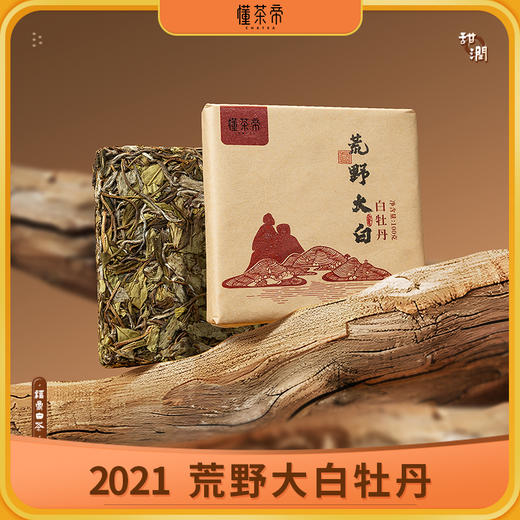 懂茶帝-福鼎白茶吴洋山2021年荒野大白（白牡丹）100g/砖 商品图0