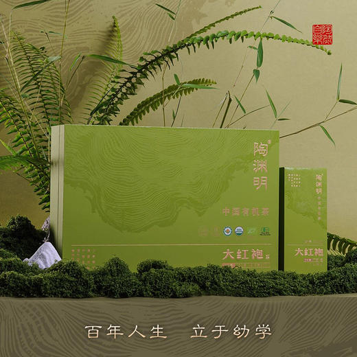 陶渊明 甲子·幼学有机大红袍 商品图0