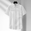 【Q】【封口款】【特大码】【冰丝高弹】【新款DM】大依优型大码条纹短袖衬衫加肥加大男装免烫大号大码衬衣上衣男士绅士商务休闲半袖夏季 商品缩略图5
