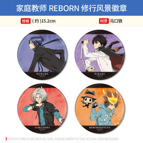 日本正版 家庭教师REBORN 修行风景 吧唧徽章 云雀恭弥周边谷子