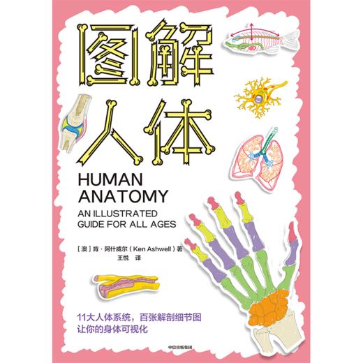 中信出版 | 图解人体 肯·阿什威尔著 商品图2