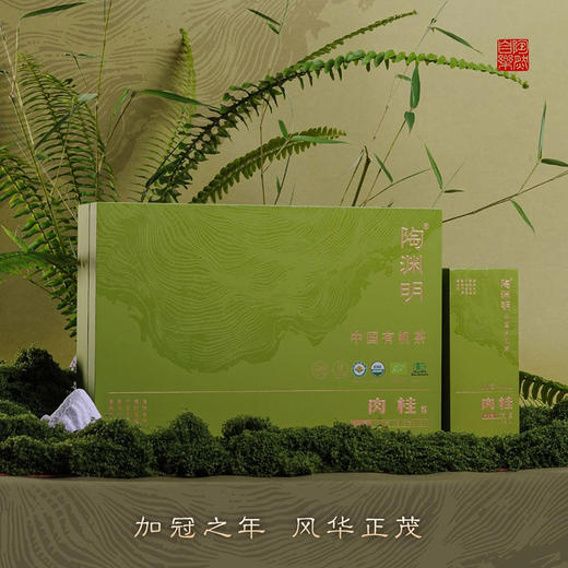 陶渊明 甲子·加冠有机肉桂 商品图0