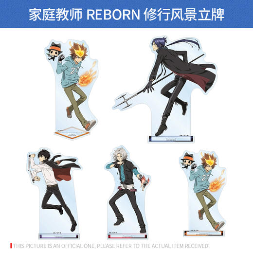 日本正版家庭教师REBORN修行风景立牌纲吉狱寺云雀六道骸周边谷子 商品图0
