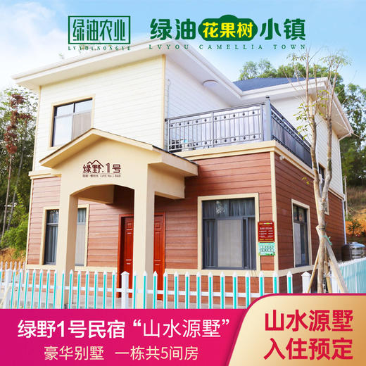 绿野1号民宿——山水源墅 商品图1