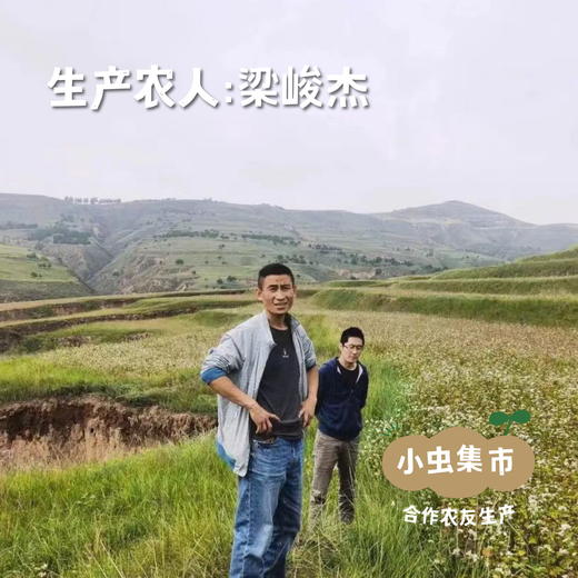 生态荞麦泡食面 200g/袋 | 合作农友生产，来自内蒙古包头，生产者：梁峻杰 &【公平贸易农人定价】 商品图3