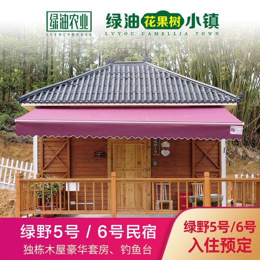 绿野5号/6号独栋木屋民宿 商品图1