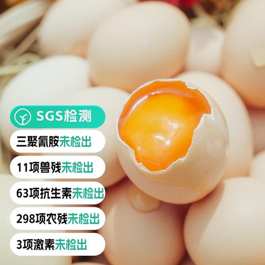 【远方检测-SGS298项农残未检出 远方好物定制有机士鸡蛋!】谷物喂养 清水一煮就很香 现捡现发 只发当日鲜蛋 30枚/箱 商品图0