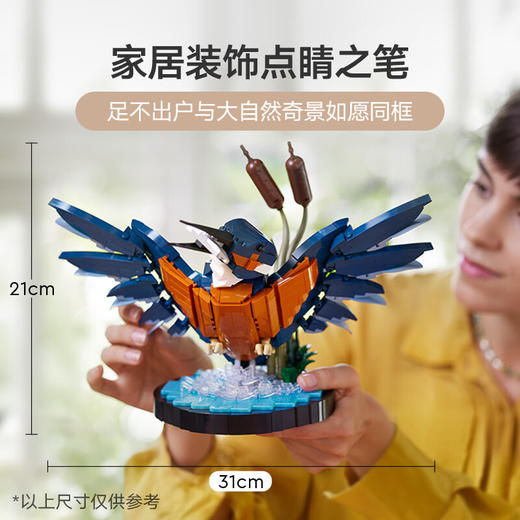 乐高积木L10331乐高ICONS系列翠鸟 商品图2