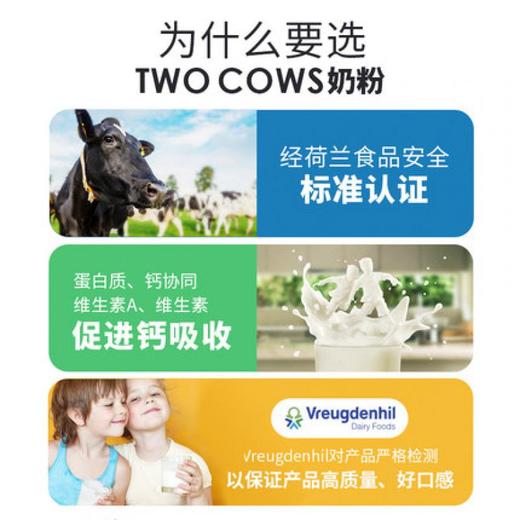 荷兰双牛TwoCows全脂奶粉900g 效期到27.1月 商品图2