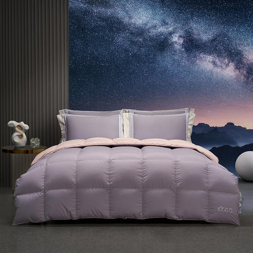 梦洁 5A银标95%美洲雁绒被 1956S启明星羽绒被鹅绒被 商品图0