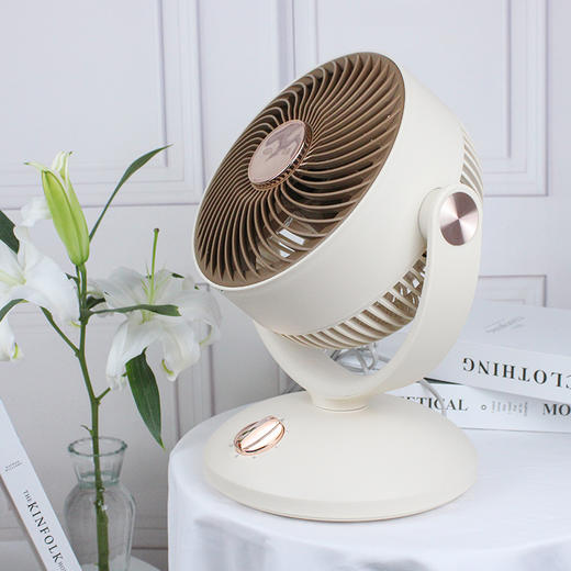 先锋桌面机械循环扇FC15-23B 商品图3