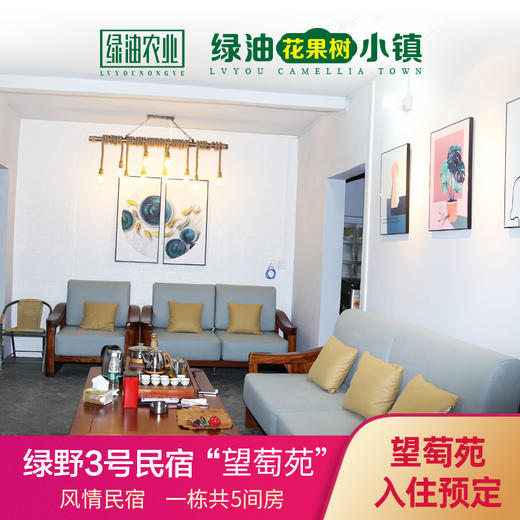 绿野3号民宿——望萄苑 商品图1
