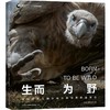 生而为野中国野生生物摄影年赛摄影作品精选 野生动物摄影集 商品缩略图0