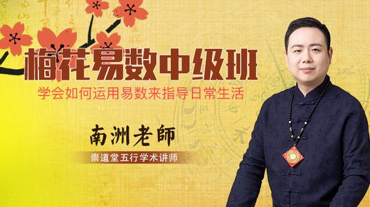 梅花易数实战 商品图0