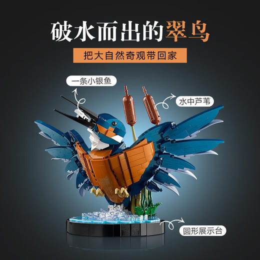 乐高积木L10331乐高ICONS系列翠鸟 商品图1