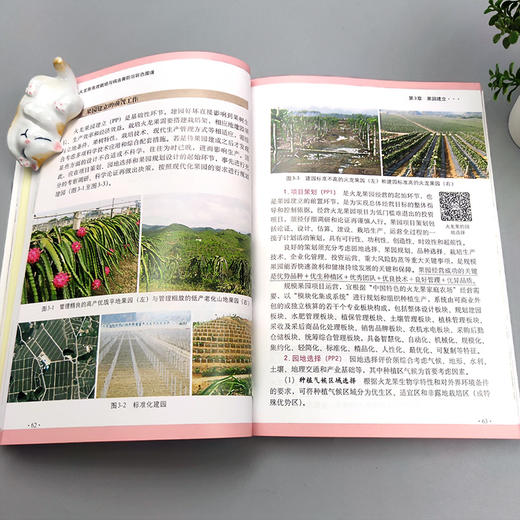 火龙果高效栽培与病虫害防治彩色图谱（扫码看视频•轻松学技术丛书） 商品图2