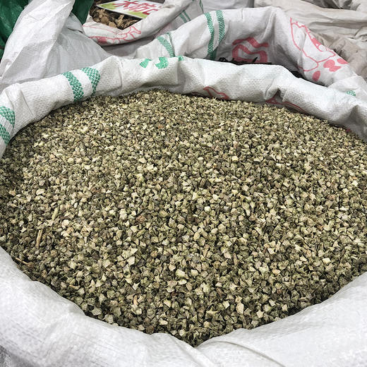 刺蒺藜 野外生长，货真价实中药材 商品图4