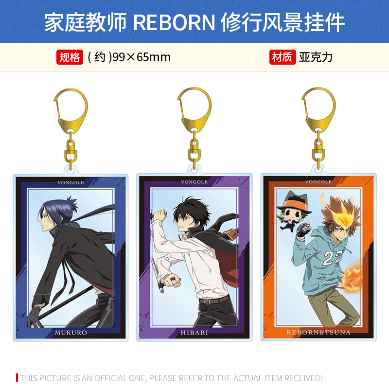 日本正版 家庭教师REBORN 修行风景挂件泽田纲吉狱寺隼人周边谷子