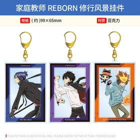 日本正版 家庭教师REBORN 修行风景挂件泽田纲吉狱寺隼人周边谷子