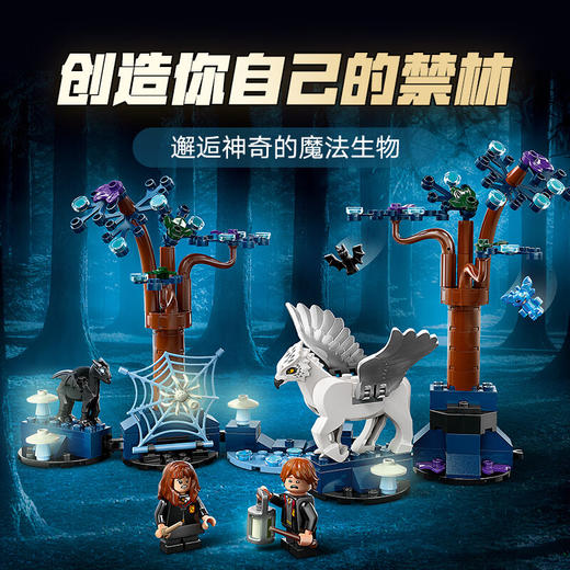 乐高积木L76432乐高哈利波特系列禁林神奇动物 商品图1